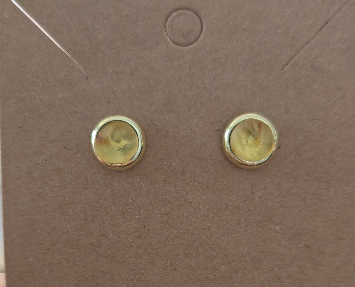 Amber stud earrings